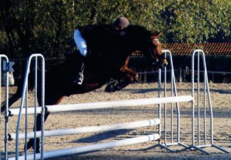 Lu'z en cOncours ac Mr